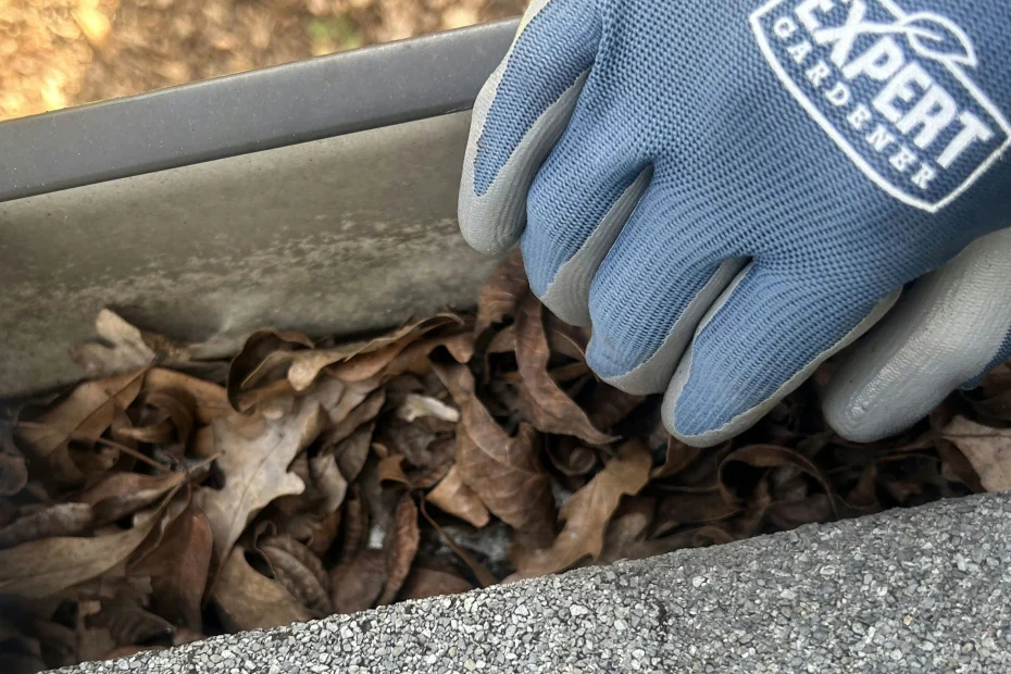 Gutter Cleaning Suwanee GA