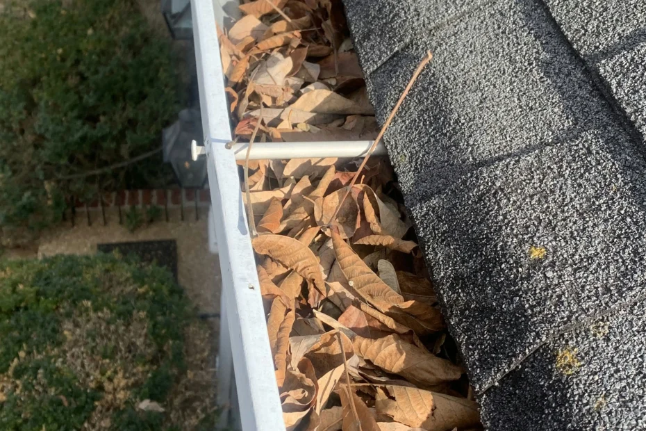 Gutter Cleaning Suwanee GA