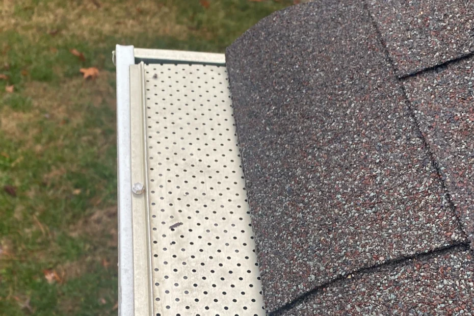 Gutter Cleaning Suwanee GA